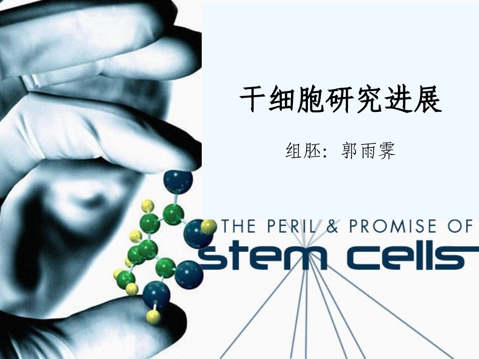 干细胞研究进展讲稿_第1页