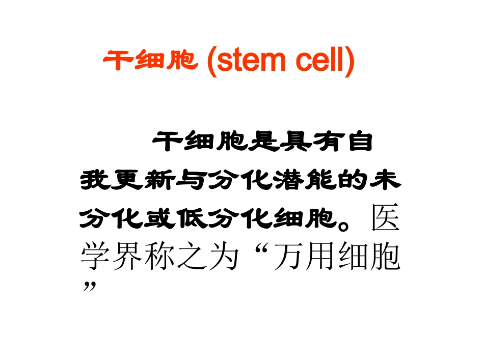 干细胞的基本知识_第2页