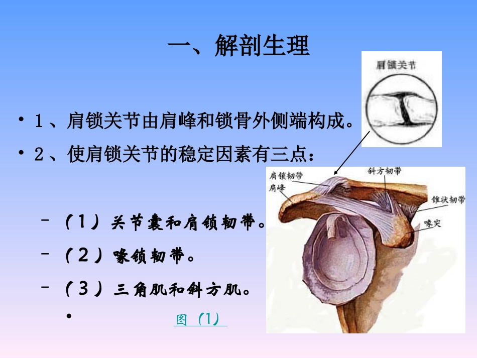 常见运动损伤2_第3页
