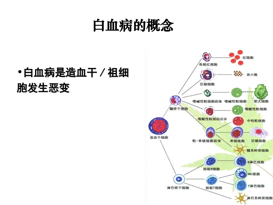 常见血液病急性白血病的MICM分型和预后_第2页