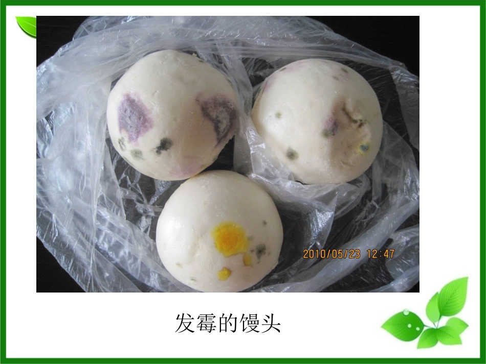 常见的食物中毒_第3页