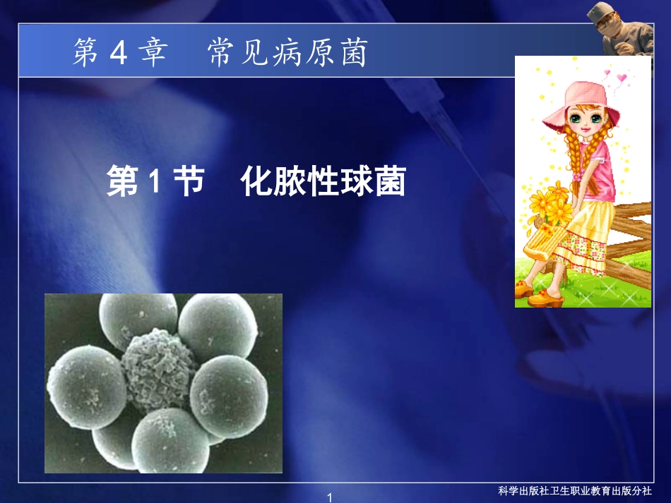 常见病原菌：化脓性细菌_第1页