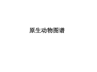 常见寄生虫图谱