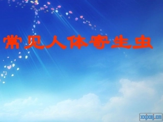 常见人体寄生虫