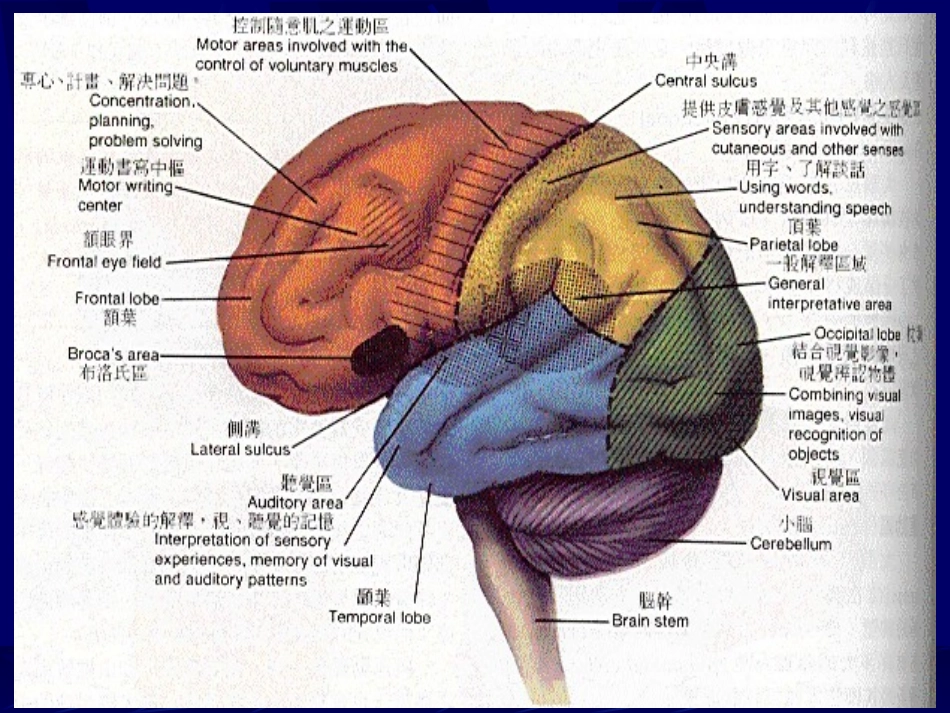 常见中枢神经疾病_第3页