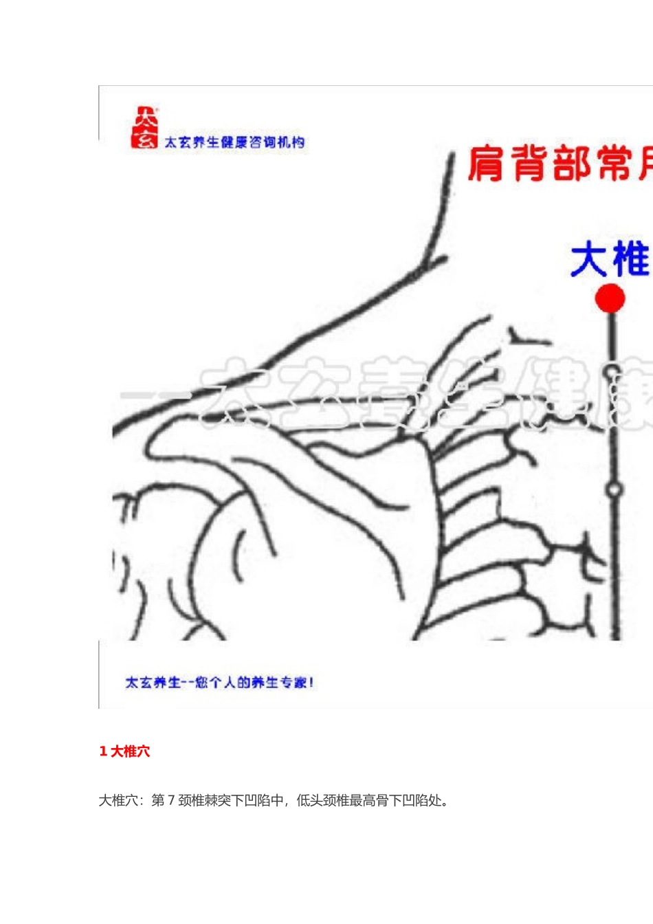 常用经络穴位_第3页