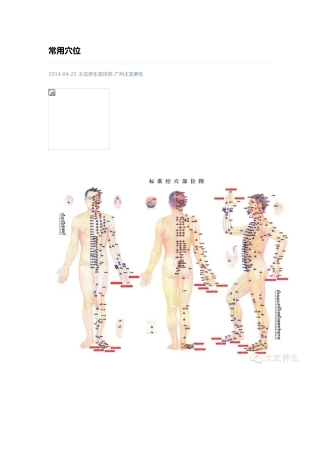 常用经络穴位