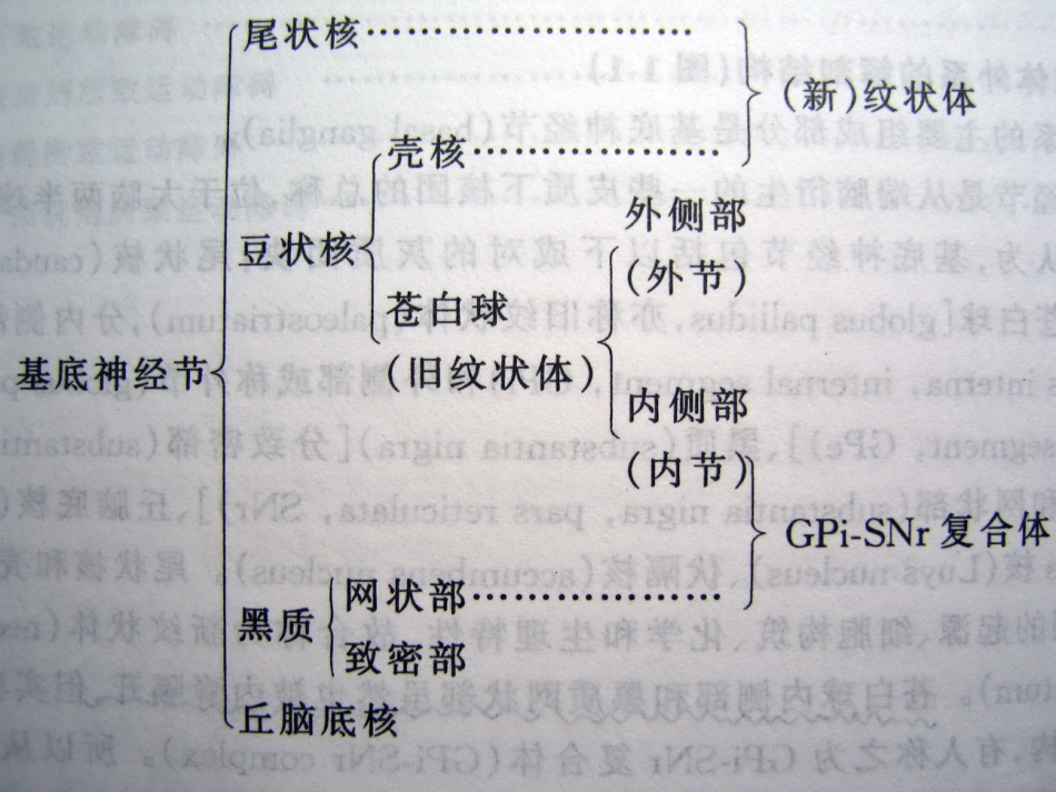 帕金森氏病讲座[1]_第2页