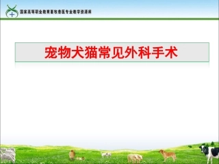 工作任务24-1宠物犬猫常见外科手术.