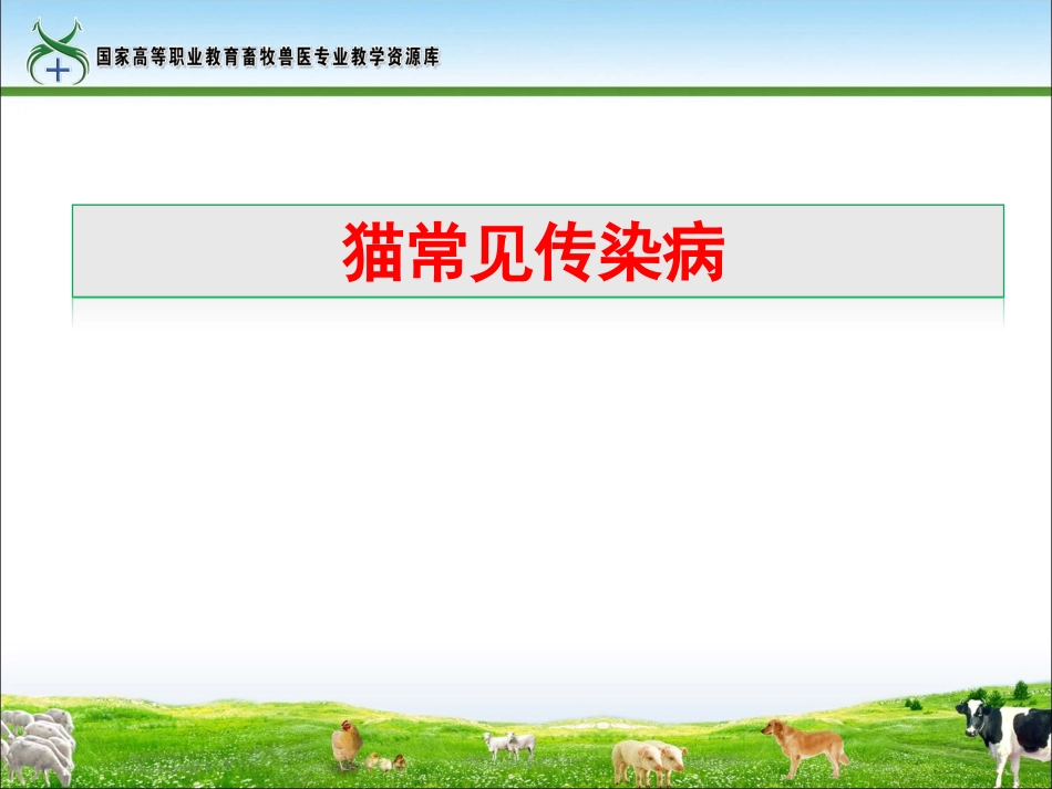 工作任务29猫常见传染病(精)_第1页