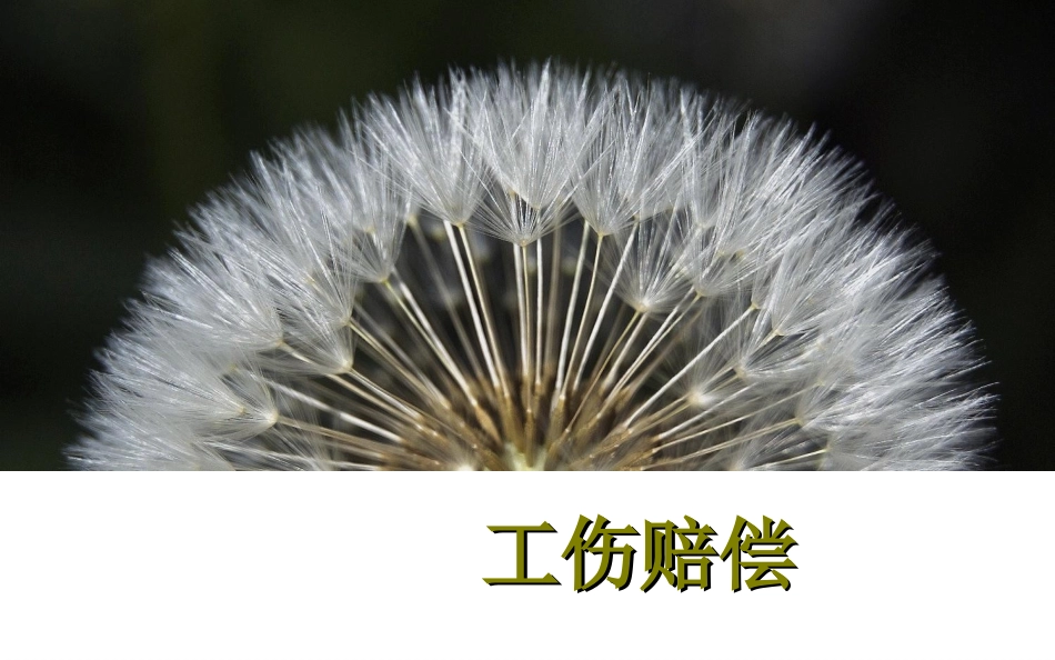 工伤赔偿(1)_第1页