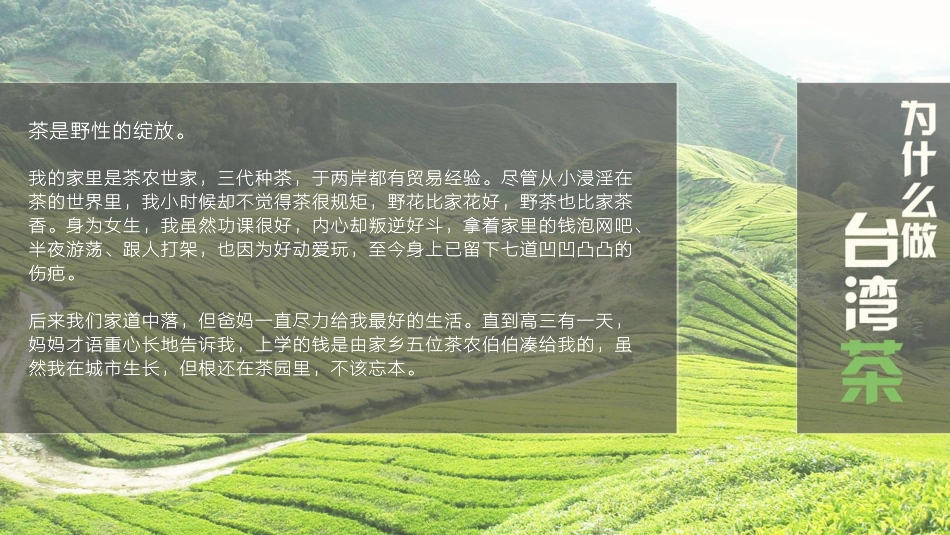 山茗主义企划书_第3页