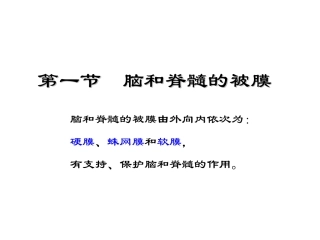 局解---脑脊髓被膜及血管