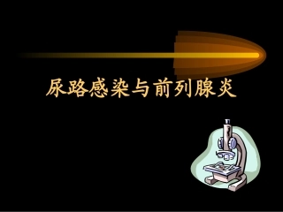 尿路感染与前列腺炎