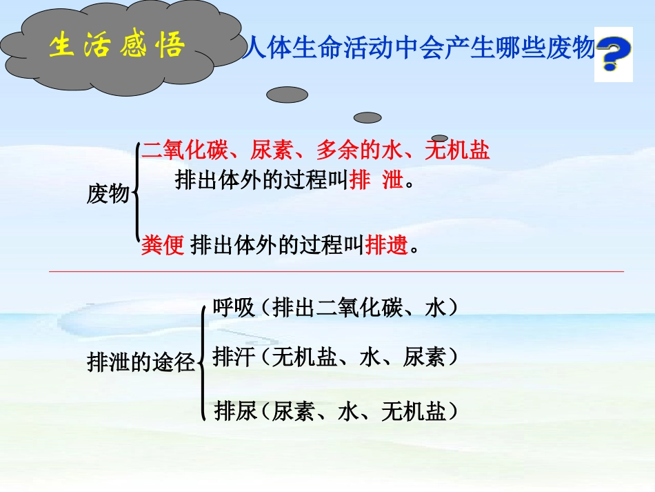 尿的行成及排出_第1页