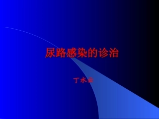 尿路感染(丁)