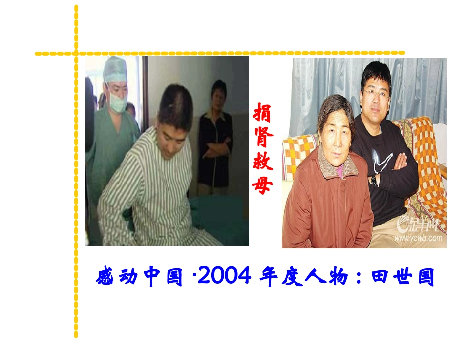 尿的形成与排出_第2页