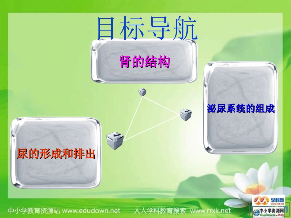 尿液的形成和排出PPT_第2页