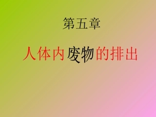 尿液的形成和排出