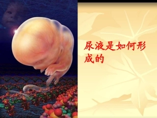 尿液是如何形成的