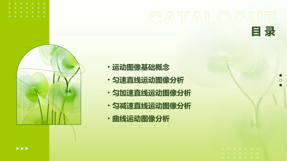 高中物理一轮复习运动图像专题研究课件_第2页