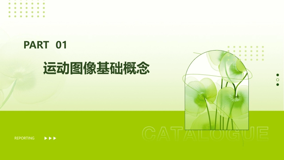 高中物理一轮复习运动图像专题研究课件_第3页