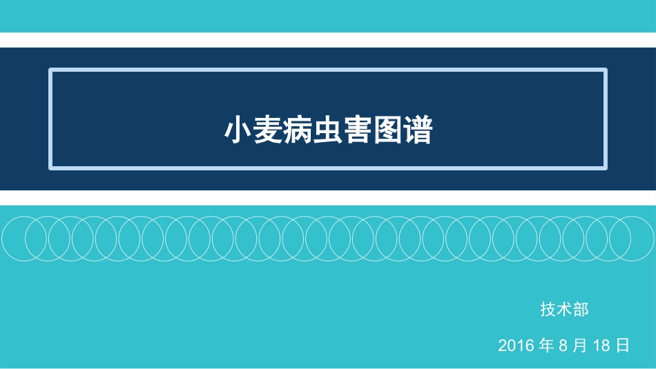 小麦病虫害图谱_第1页