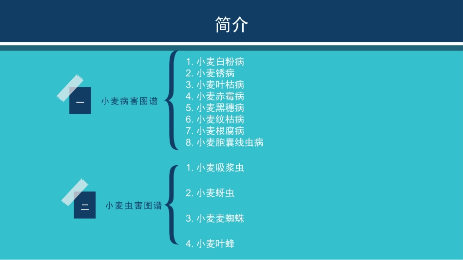 小麦病虫害图谱_第2页