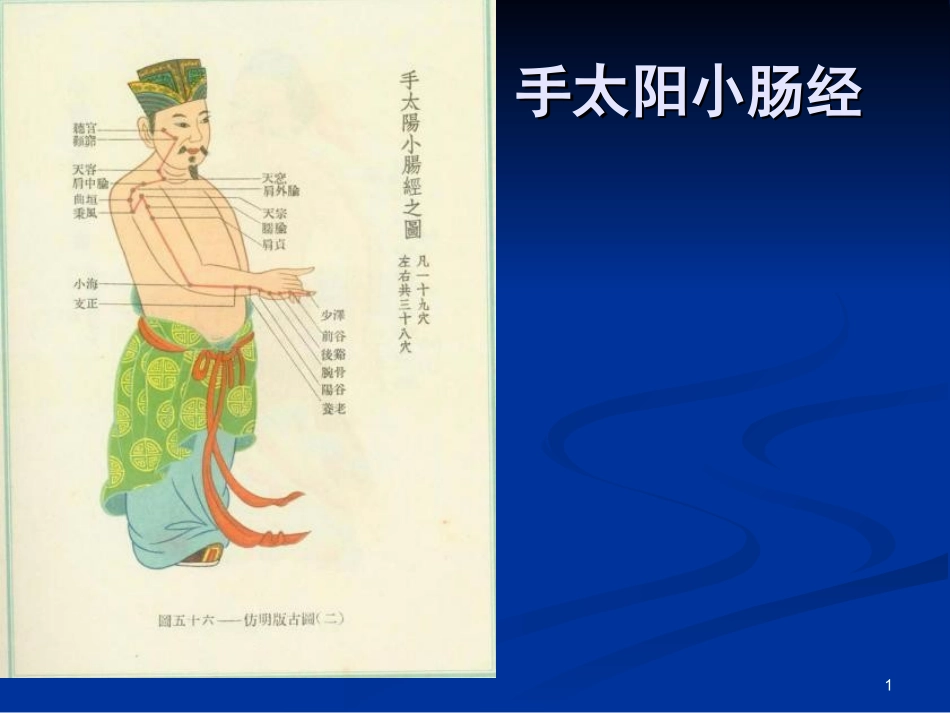 小肠经经脉穴位_第1页