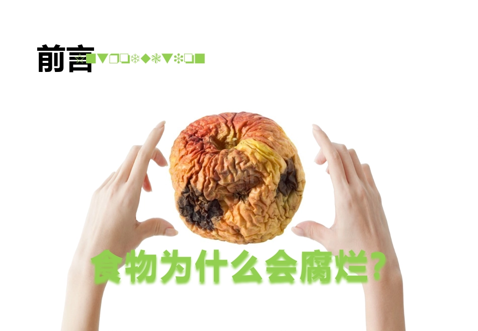 小队活动之《神奇的细菌》_第2页