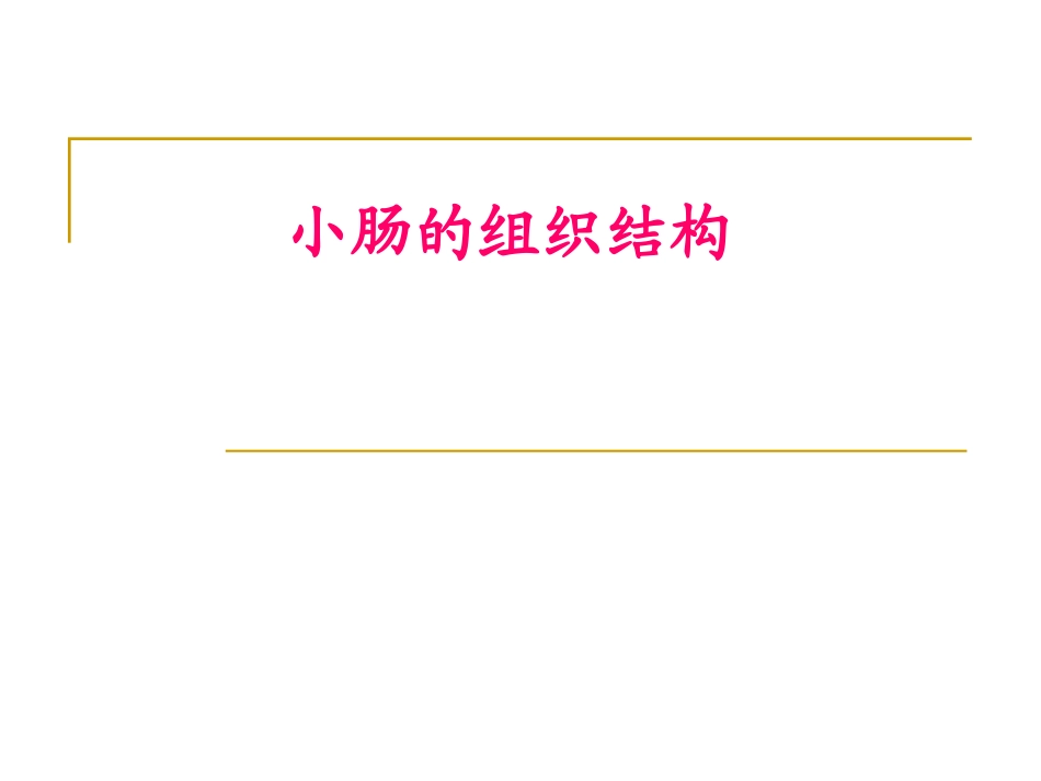 小肠的组织结构_第1页