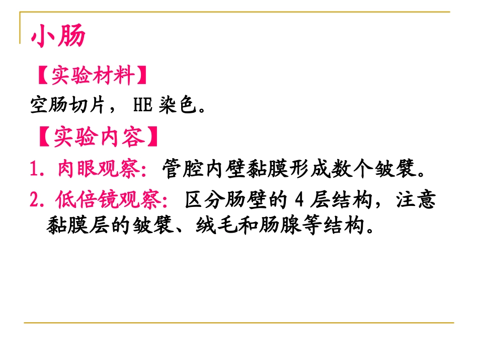 小肠的组织结构_第2页