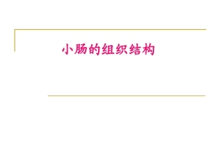 小肠的组织结构