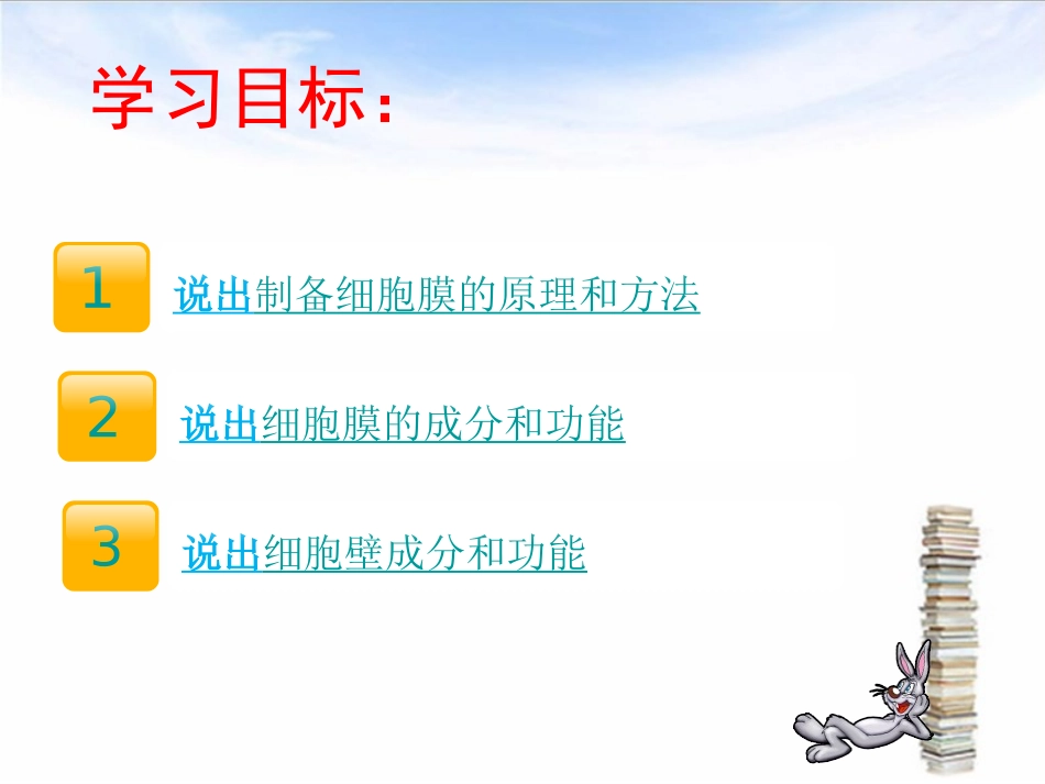 小谢3.1系统的边界——细胞膜ppt_第3页