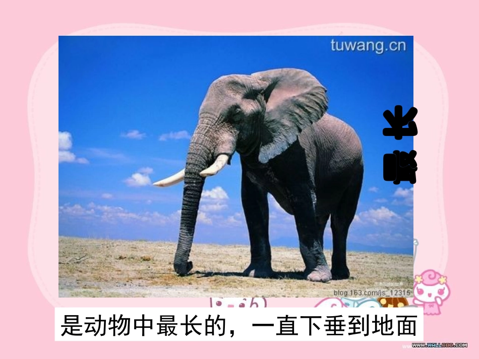 小学综合实践会说话的鼻子(一二年级_第2页