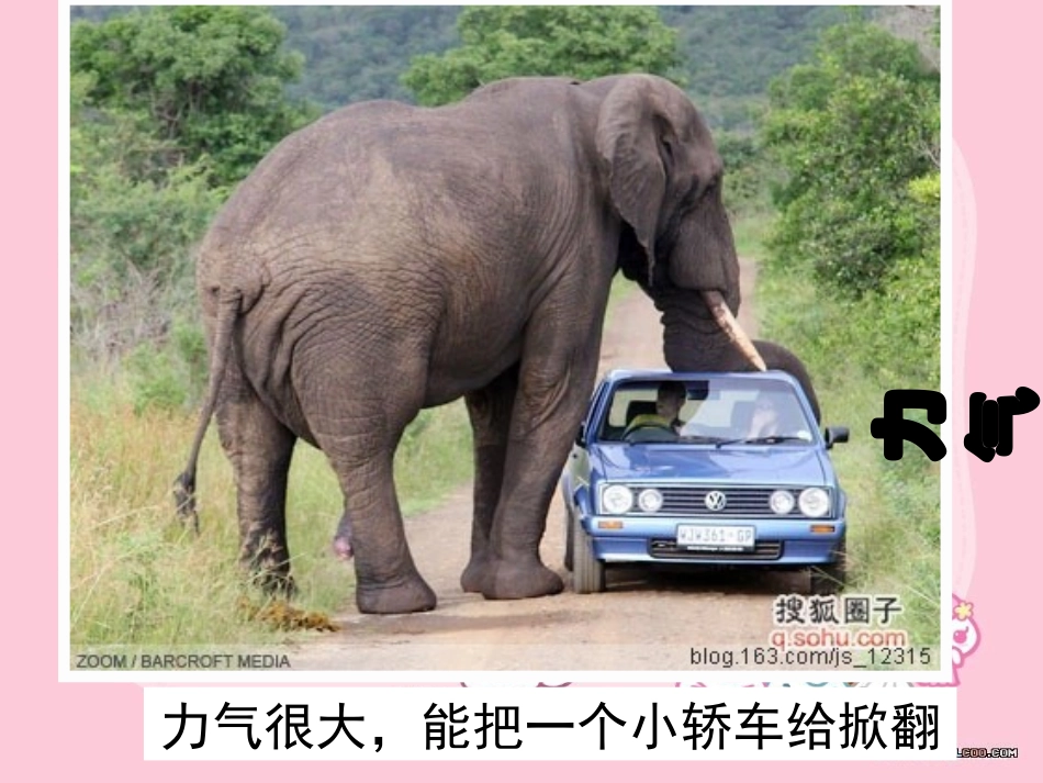 小学综合实践会说话的鼻子(一二年级_第3页