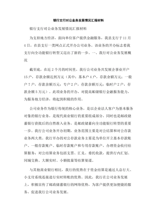 银行支行对公业务发展情况汇报材料
