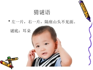 小学健康课6保护我的耳朵