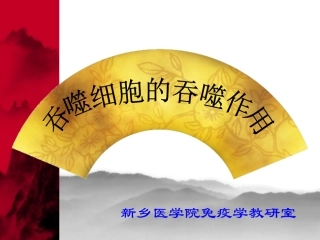 小吞噬细胞的吞噬功能检测