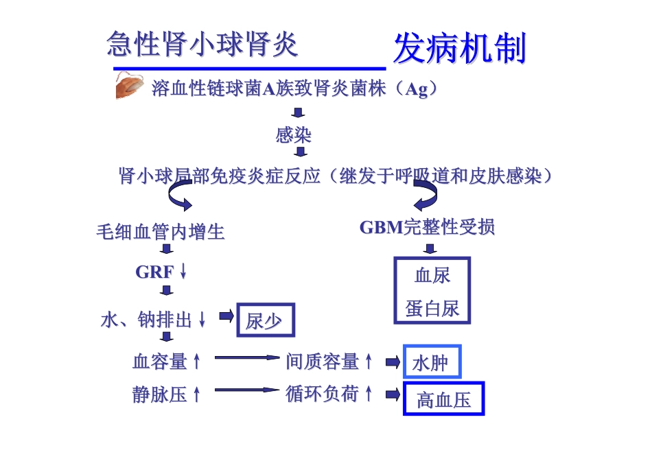 小儿急性肾小球肾炎..ppt_第3页