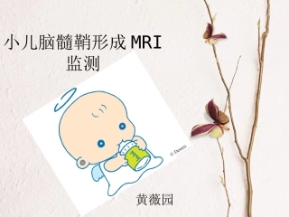 小儿脑髓鞘形成MRI