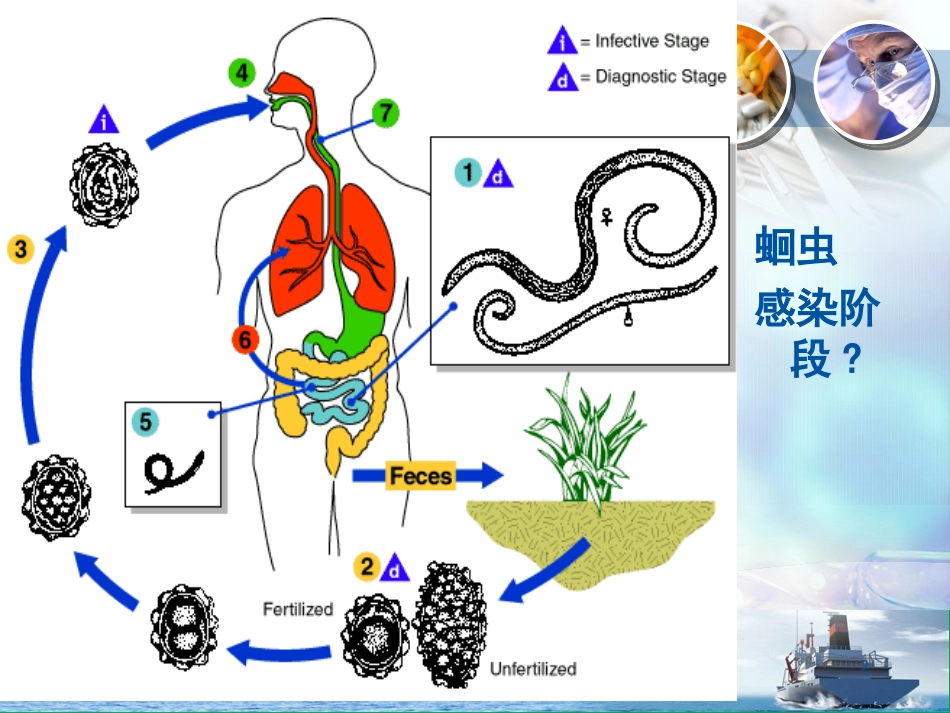 寄生虫检验技术_第2页