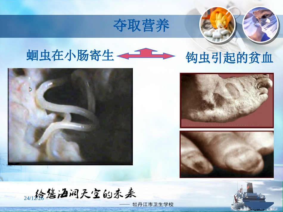 寄生虫检验技术_第3页