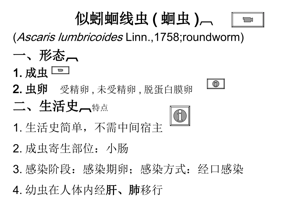 寄生虫课件 蠕虫、蛔虫_第3页