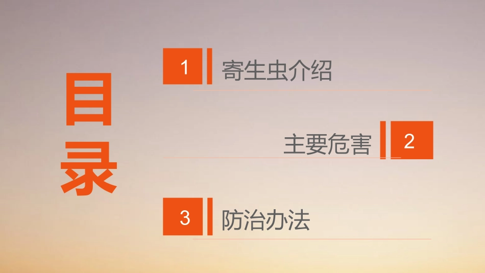 寄生虫之蛔虫_第2页