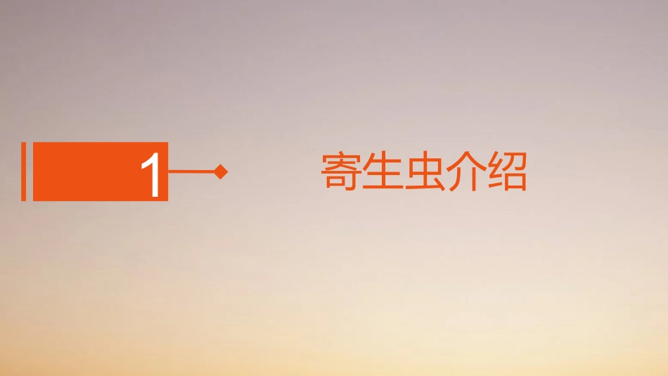 寄生虫之蛔虫_第3页