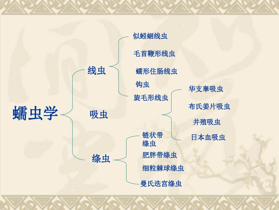 寄生虫在肠道的寄生部位及致病_第3页