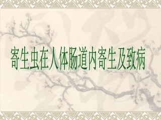 寄生虫在肠道的寄生部位及致病