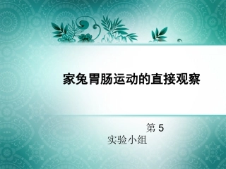 家兔胃肠运动的直接观察