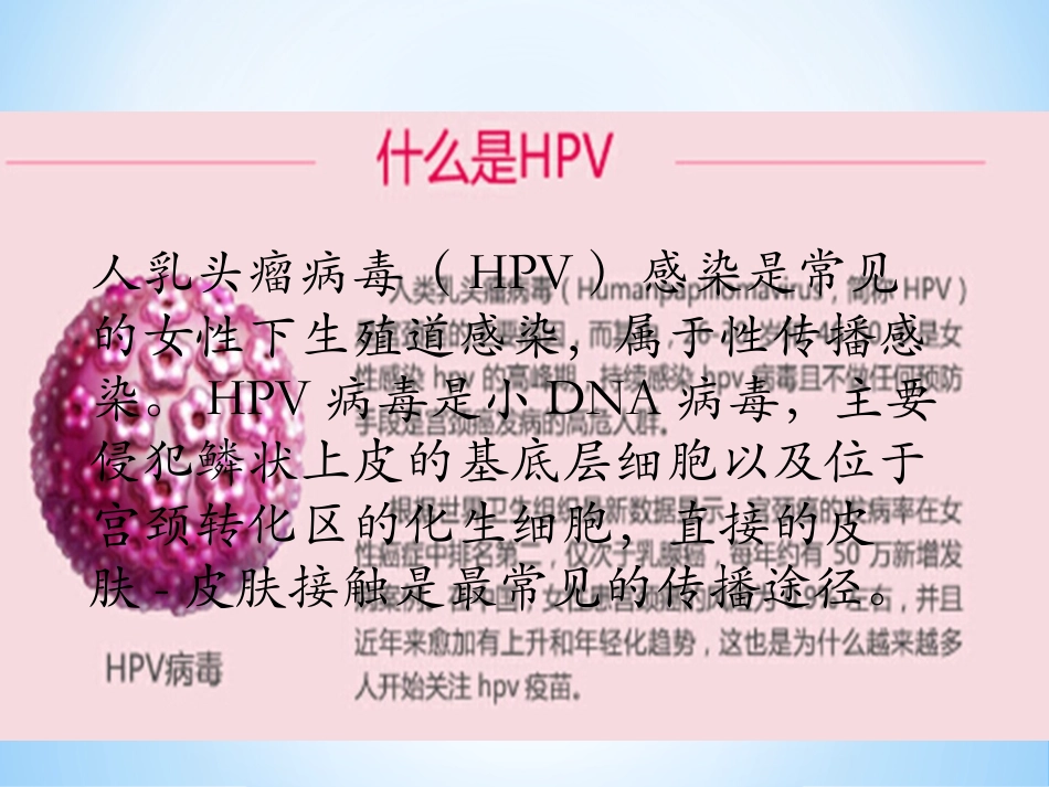 宫颈癌疫苗与HPV_第2页